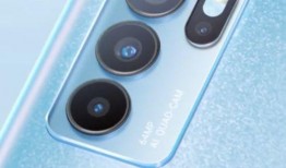 著名训练师爆料视频下载,独家内幕大公开